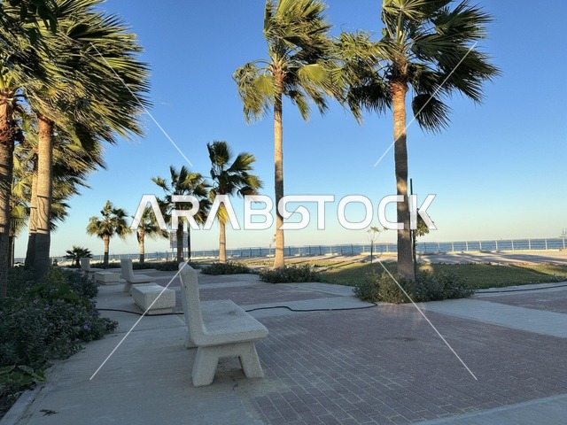 جلسة هادئة في ممشى الواجهة البحرية في مدينة الدمام، منطقة حيوية ومتنفس رئيسي لسكان وزوار المنطقة الشرقية، كورنيش مطل على الخليج العربي في المملكة العربية السعودية