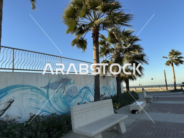 جلسة هادئة في ممشى الواجهة البحرية في مدينة الدمام، منطقة حيوية ومتنفس رئيسي لسكان وزوار المنطقة الشرقية، كورنيش مطل على الخليج العربي في المملكة العربية السعودية