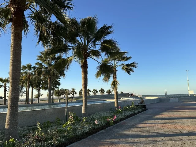 كورنيش مطل على الخليج العربي في المملكة العربية السعودية، اشجار خضراء في ممشى الواجهة البحرية في مدينة الدمام، منطقة حيوية ومتنفس رئيسي لسكان وزوار المنطقة الشرقية