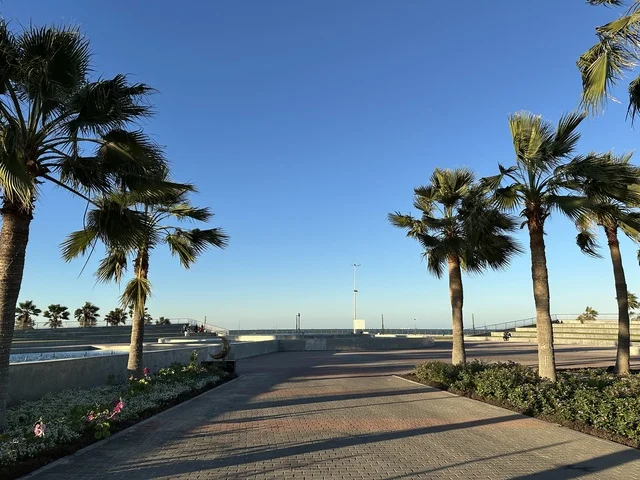 كورنيش مطل على الخليج العربي في المملكة العربية السعودية، اشجار خضراء في ممشى الواجهة البحرية في مدينة الدمام، منطقة حيوية ومتنفس رئيسي لسكان وزوار المنطقة الشرقية