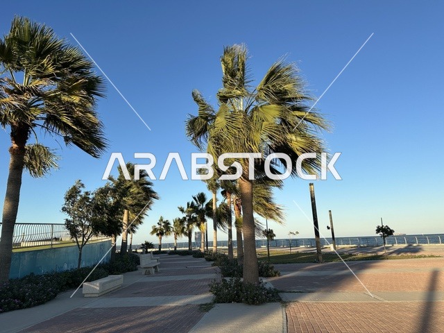 كورنيش مطل على الخليج العربي في المملكة العربية السعودية، اشجار خضراء في ممشى الواجهة البحرية في مدينة الدمام، منطقة حيوية ومتنفس رئيسي لسكان وزوار المنطقة الشرقية