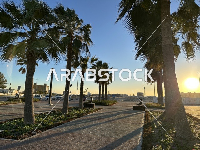 كورنيش مطل على الخليج العربي في المملكة العربية السعودية، اشجار خضراء في ممشى الواجهة البحرية في مدينة الدمام، منطقة حيوية ومتنفس رئيسي لسكان وزوار المنطقة الشرقية