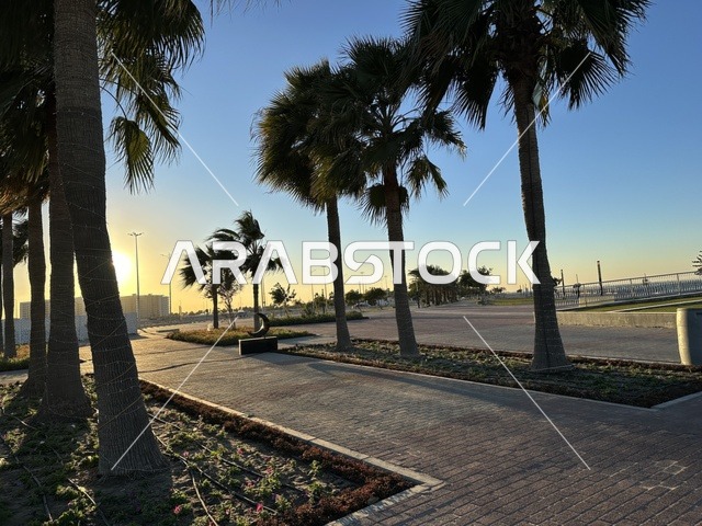 كورنيش مطل على الخليج العربي في المملكة العربية السعودية، اشجار خضراء في ممشى الواجهة البحرية في مدينة الدمام، منطقة حيوية ومتنفس رئيسي لسكان وزوار المنطقة الشرقية