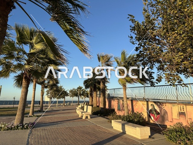 كورنيش مطل على الخليج العربي في المملكة العربية السعودية، اشجار خضراء في ممشى الواجهة البحرية في مدينة الدمام، منطقة حيوية ومتنفس رئيسي لسكان وزوار المنطقة الشرقية