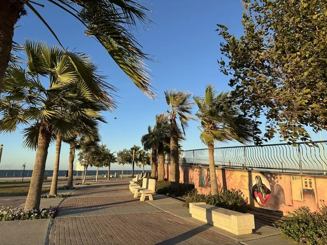 كورنيش مطل على الخليج العربي في المملكة العربية السعودية، اشجار خضراء في ممشى الواجهة البحرية في مدينة الدمام، منطقة حيوية ومتنفس رئيسي لسكان وزوار المنطقة الشرقية