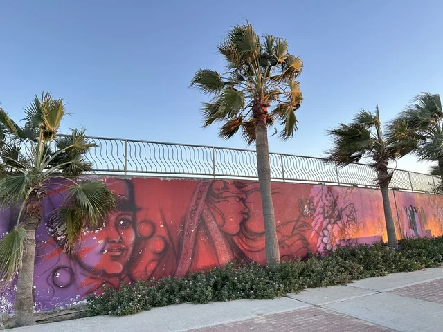 كورنيش مطل على الخليج العربي في المملكة العربية السعودية، اشجار خضراء في ممشى الواجهة البحرية في مدينة الدمام، منطقة حيوية ومتنفس رئيسي لسكان وزوار المنطقة الشرقية