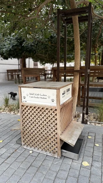 An external station to provide food and water for stray cats, architectural arts in the historic city of Jeddah, neighborhoods and popular designs, tourist attractions in the Kingdom of Saudi Arabia, ancient archaeological buildings, projects to revitalize the area.