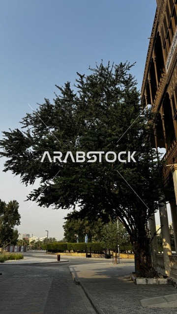 التصميم المعماري تقليدي أو تاريخي، الفنون المعمارية في المدينة التاريخية في جدة، الحارات والتصاميم الشعبية، الأماكن السياحية في المملكة العربية السعودية، المباني الأثرية القديمة، مشاريع إعادة إحياء المنطقة