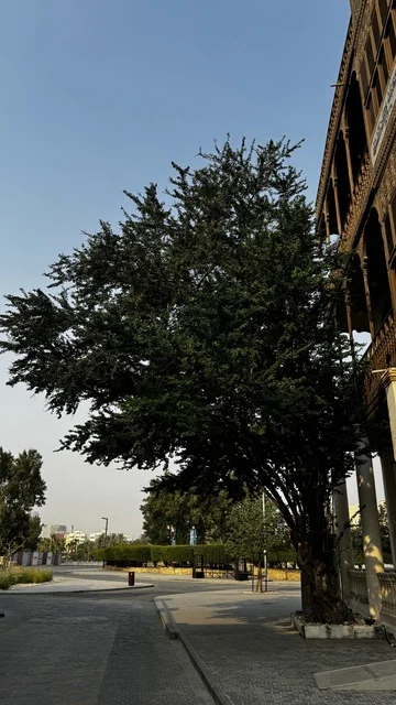 التصميم المعماري تقليدي أو تاريخي، الفنون المعمارية في المدينة التاريخية في جدة، الحارات والتصاميم الشعبية، الأماكن السياحية في المملكة العربية السعودية، المباني الأثرية القديمة، مشاريع إعادة إحياء المنطقة