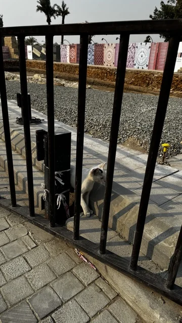 جدران مزخرفة وملونة بأشكال هندسية، الفنون المعمارية في المدينة التاريخية في جدة، تصوير درون للحارات والتصاميم الشعبية، الأماكن السياحية في المملكة العربية السعودية، المباني الأثرية القديمة، مشاريع إعادة إحياء المنطقة