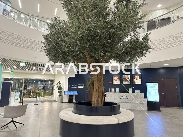 ساحة الاستقبال فى بيت الثقافة فى الدمام بالمنطقة الشرقية، المملكة العربية السعودية،  مكتبة الدمام العامة ، أنشطة تعليمية وتفاعلية لجميع الفئات، معلم ثقافي ومعرفي يعزز الإبداع والفنون، فعاليات ثقافية ومجتمعية متنوعة،  بيئة ملهمة تجمع الثقافات والمعرفة والفن ،مساحات للمعارض وورش العمل .