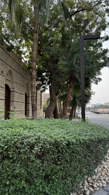 وجود نباتات خضراء على أبواب البيوت التاريخية ،  معالم تاريخية في جدة البلد ، المدينة التاريخية في جدة بتصميم معماري عربي و إسلامي قديم ، أماكن سياحية تاريخية في المملكة العربية السعودية ،  المباني الأثرية في البلد التاريخي