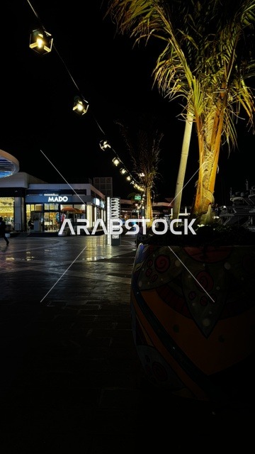 مرافق سياحية وترفيهية راقية، وجهة بحرية ساحلية على ساحل البحر الأحمر، نادي اليخوت فى جدة، المملكة العربية السعودية،تصميم معماري عصري، مطاعم ومقاهي مطلة على المارينا،  أجواء فاخرة تجمع الترفيه والاستجمام، مراسي يخوت حديثة وخدمات بحرية متطورة