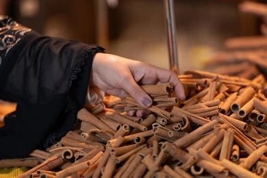 Arab Woman Picking Cinnamon Sticks in Traditional Market