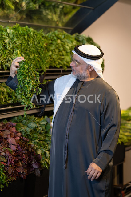Emirati Man Inspecting Fresh Vegetables in Vertical Farm