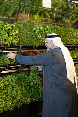 رجل إماراتي يتسوق الخضروات والأعشاب الطازجة