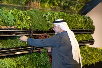 رجل إماراتي يختار الأعشاب الطازجة في سوق الخضار