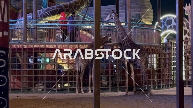 غابة الحيوانات في بوليفارد الرياض في شمال الرياض في المملكة العربية السعودية، مكان ترفيهي عائلي، وجهة ترفيهية ضخمة، تجربة تجمع بين التسوق والترفيه والمأكولات العالمية والمحلية، من11 أكتوبر 2025 حتى 2 مايو 2026