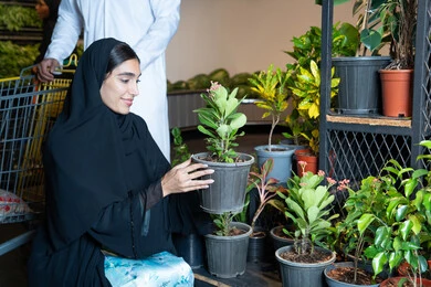 Emirati Woman Shopping for Plants in Indoor Nursery Emirati Woman Shopping for Plants in Indoor Nursery