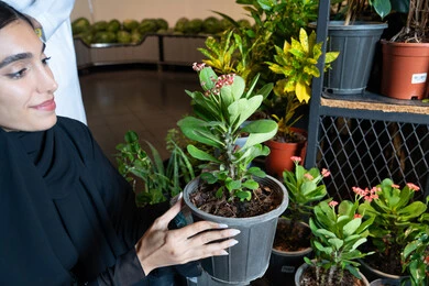 Emirati Woman Holding Potted Plant in Nursery