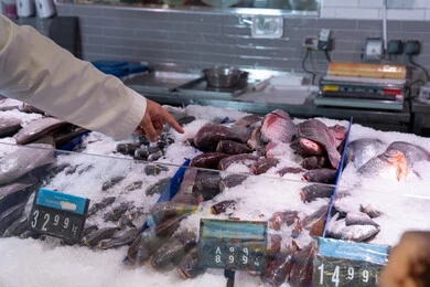 رجل إماراتي يختار الأسماك الطازجة في السوق