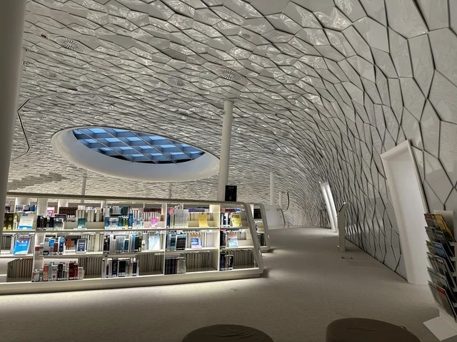 1768138549WUmFZjBs2o