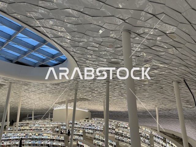 1768138645LtJi68lbPX