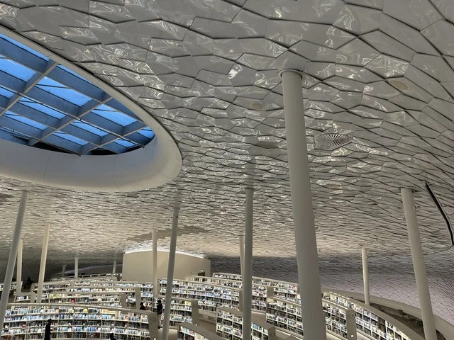 1768138645LtJi68lbPX