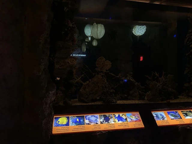 نادي الطاقة في معرض الطاقة فى مركز الملك عبدالعزيز الثقافي العالمي ( إثراء ) بالظهران ، المنطقة الشرقية، المملكة العربية السعودية، يوم 19 من يناير 2026 ، فعالية تفاعلية تسلط الضوء على مصادر الطاقة والتقنيات الحديثة، معروضات تعليمية وتجارب علمية مبتكرة، محتوى تعريفي يربط بين الاستدامة والابتكار، أجواء ثقافية ملهمة تناسب جميع الفئات.