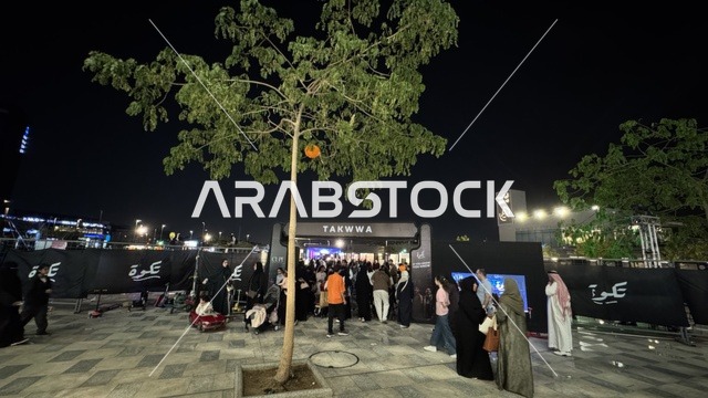 1768474979TJE3kG50u5