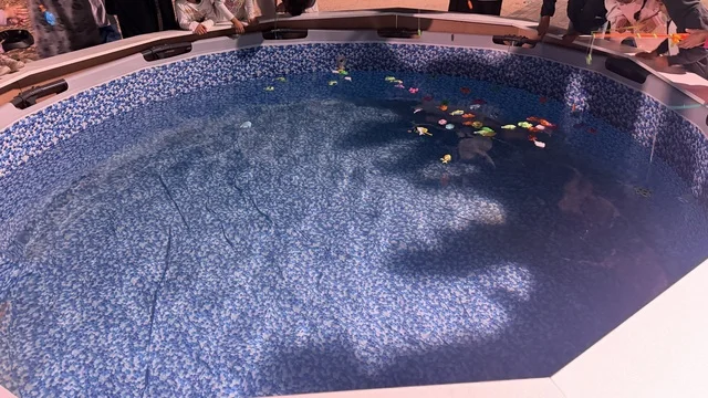 حوض سباحة مزين بالورود، عروض لمراحل بناء السفن التقليدية والأدوات والمواد المستخدمة، مهرجان السفن الخشبية على شاطئ الحمراء بجدة في المملكة العربية السعودية 12 إلى 16 يناير 2026، التراث البحري، الأنشطة التفاعلية والعروض الثقافية