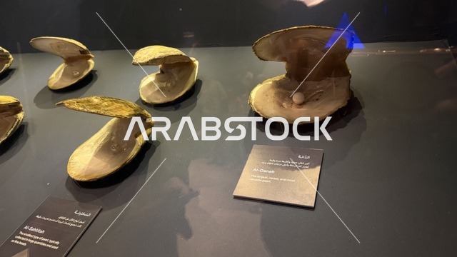 An open pearl oyster, exhibitions of traditional shipbuilding stages and the tools and materials used, the wooden ships festival on the Al-Hamra beach in Jeddah, Saudi Arabia from January 12 to 16, 2026, maritime heritage, interactive activities, and cultural performances.
