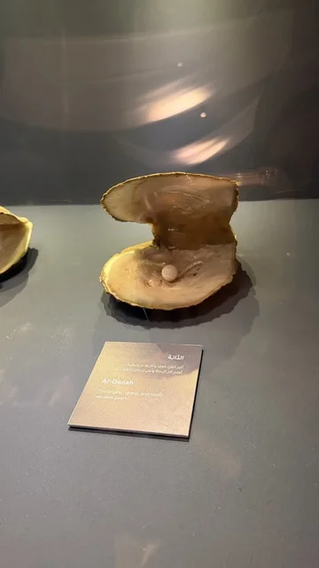 محارة لؤلؤ مفتوحة، عروض لمراحل بناء السفن التقليدية والأدوات والمواد المستخدمة، مهرجان السفن الخشبية على شاطئ الحمراء بجدة في المملكة العربية السعودية 12 إلى 16 يناير 2026، التراث البحري، الأنشطة التفاعلية والعروض الثقافية