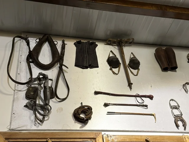 A heritage and cultural landmark, the Al-Falwa and Al-Jawhara Museum in the Al-Nuzha neighborhood of Dammam, Eastern Province, Saudi Arabia, opened on February 21, 2018. A distinctive educational and tourist destination, it documents Saudi handicrafts and identity, the history of traditional clothing and jewelry, Saudi heritage, and Islamic art.