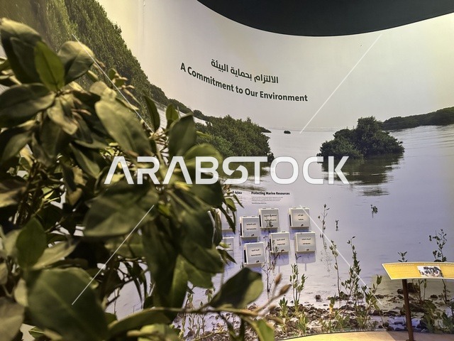 قسم البيئة والاستدامة البحرية بمعرض الطاقة فى مركز الملك عبدالعزيز الثقافي العالمي ( إثراء ) بالظهران ، المنطقة الشرقية، المملكة العربية السعودية، يوم 19 من يناير 2026 ، فعالية تسلط الضوء على مصادر الطاقة والتقنيات الحديثة، معروضات تعليمية وتجارب علمية مبتكرة، أجواء ثقافية ملهمة تناسب جميع الفئات.