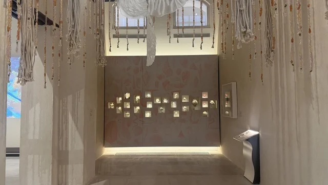 The seashells at the Red Sea Museum in Jeddah, located in the historic Bab Al-Bont building in historic Jeddah, on January 17, 2026, is a modern cultural landmark, exploring the history of the region and showcasing rare artifacts that tell the historical story of the Red Sea.