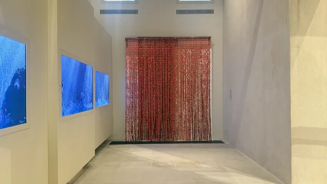 لوحة لقاع البحر في متحف البحر الأحمر في جدة في مبنى باب البنط التاريخي بجدة التاريخية 17  يناير 2026 ، معلم ثقافي حديث ، استكشاف تاريخ المنطقة، عرض مقتنيات نادرة تحكي قصة البحر الأحمر التاريخية