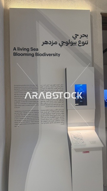 متحف البحر الأحمر في جدة في مبنى باب البنط التاريخي بجدة التاريخية 17  يناير 2026 ، معلم ثقافي حديث ، استكشاف تاريخ المنطقة، عرض مقتنيات نادرة تحكي قصة البحر الأحمر التاريخية