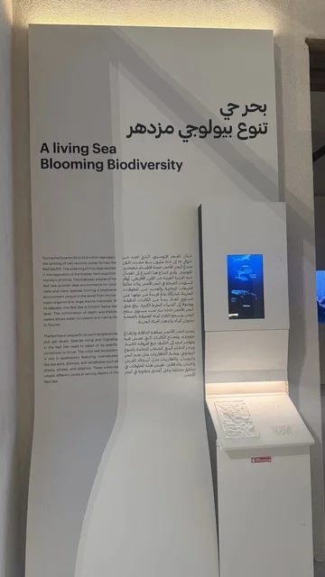 متحف البحر الأحمر في جدة في مبنى باب البنط التاريخي بجدة التاريخية 17  يناير 2026 ، معلم ثقافي حديث ، استكشاف تاريخ المنطقة، عرض مقتنيات نادرة تحكي قصة البحر الأحمر التاريخية