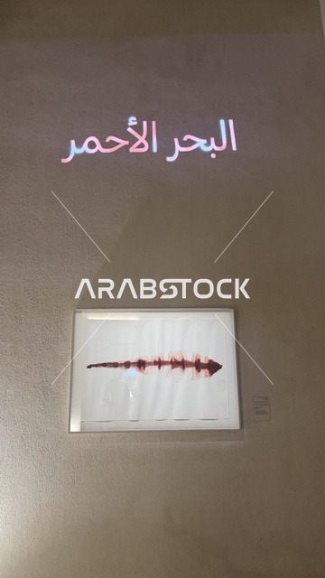 عرض مقتنيات نادرة تحكي قصة البحر الأحمر التاريخية، استكشاف تاريخ المنطقة، متحف البحر الأحمر في جدة في مبنى باب البنط التاريخي بجدة التاريخية 17  يناير 2026 ، معلم ثقافي حديث