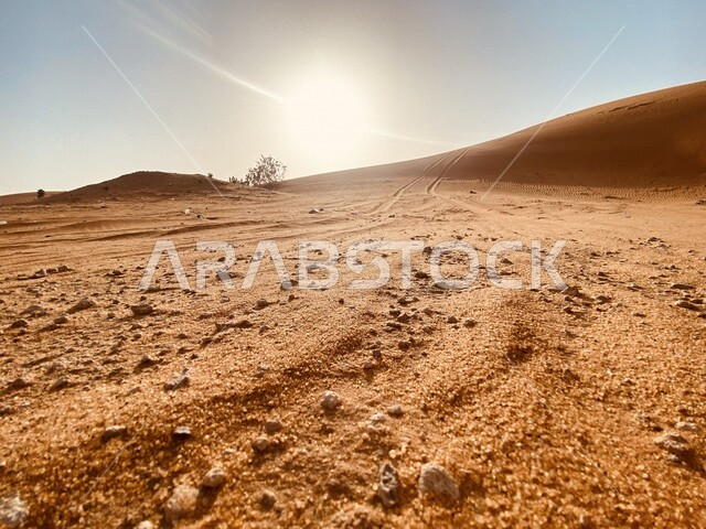 منظر جمالي للكثبان الرملية الصحراوية بروضة العكرشية بمحافظة القصب في المملكة العربية السعودية , الرمال الناعمة ، جمال المناظر الطبيعية الصحراوية في السعودية ، السياحة في السعودية