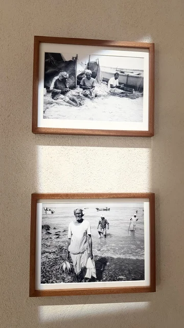 عرض صور قديمة نادرة للملاحة البحرية في متحف البحر الأحمر في جدة في مبنى باب البنط التاريخي بجدة التاريخية 17  يناير 2026 ، معلم ثقافي حديث ، عرض مقتنيات نادرة تحكي قصة البحر الأحمر التاريخية، استكشاف تاريخ المنطقة