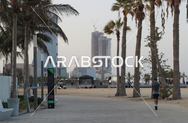 الاهتمام بزراعة اشجار النخيل الخضراء في المدن الساحلية، الواجهة البحرية في مدينة جدة بالمملكة العربية السعودية ، طريق كورنيش جدة, المعالم السياحية المشهورة ، الاستمتاع بجلسات هادئة مطلة على البحر