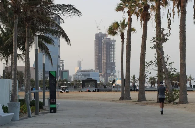 The focus on planting green palm trees in coastal cities, the waterfront in the city of Jeddah in the Kingdom of Saudi Arabia, the Jeddah Corniche, famous tourist attractions, and enjoying quiet sessions overlooking the sea.