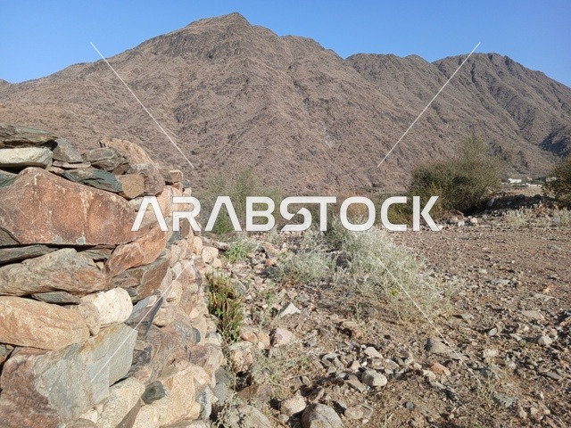 البيوت الحجرية القديمة على الجبال في منطقة الباحة في قرية ذي العين الأثرية جنوب المملكة العربية السعودية، المعالم السياحية التاريخية المشهورة، الأشجار والنباتات الخضراء المحيطة بالقرية على المرتفعات والقمم الجبلية
