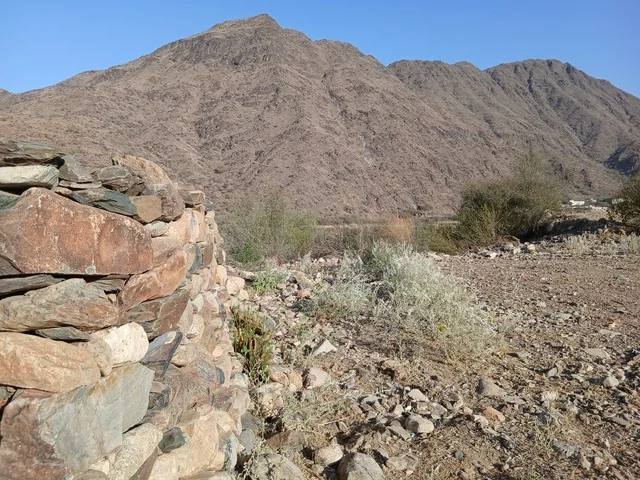 The old stone houses on the mountains in the Al-Baha region in the archaeological village of Dhai Ain, south of the Kingdom of Saudi Arabia, are famous historical tourist landmarks, surrounded by green trees and plants on the highlands and mountain peaks.