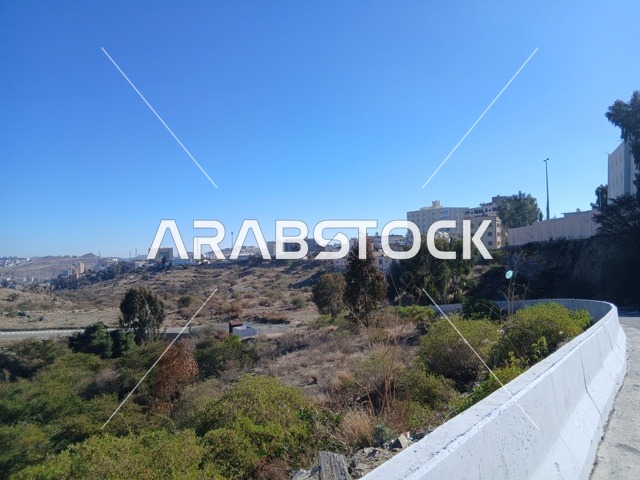 الأشجار والنباتات الخضراء المحيطة بالقرية على المرتفعات والقمم الجبلية،  منطقة الباحة في قرية ذي العين الأثرية جنوب المملكة العربية السعودية، المعالم السياحية التاريخية المشهورة