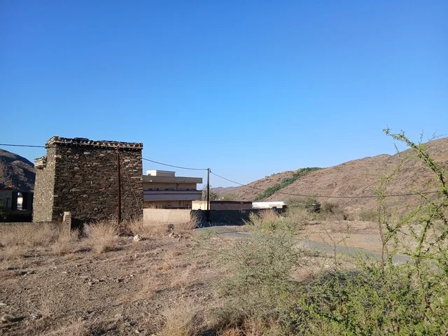 البيوت الحجرية القديمة على الجبال في منطقة الباحة في قرية ذي العين الأثرية جنوب المملكة العربية السعودية، المعالم السياحية التاريخية المشهورة، الأشجار والنباتات الخضراء المحيطة بالقرية على المرتفعات والقمم الجبلية