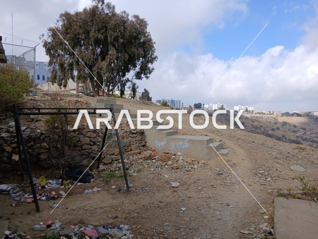 المرتفعات والقمم الجبلية بمنطقة الباحة في قرية ذي العين الأثرية جنوب المملكة العربية السعودية، منظر السماء الملبدة بالغيوم في المنطقة الجبلية، المعالم السياحية التاريخية المشهورة،  البيوت السكنية والطرقات المهيئة في المدينة، الأشجار والنباتات الخضراء