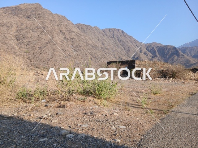 The green plants around the houses and ancient stone buildings in the Al-Hijr area, the famous tourist places and landmarks in the Kingdom of Saudi Arabia, the high mountainous regions, the architectural engineering art in the old style.